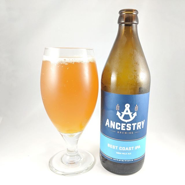 Beer: Best Coast IPA Style: IPA (American) ABV: 7.0 IBU: 77 Hops: ? ———————————– Brewery: Ancestry Brewing Brewery IG: @ancestrybrewing ———————————– Rating: 3.5/5 Notes: “Powerful citrus hop aromas that fade to pine” is what the bottle says. It’s the truth. This beer tastes like it could be an imperial ipa. Bitter and pine finishing notes are certainly the highlights of this beer. ———————————– #ancestrybrewing #ancestrybeer #beer #thebeersbeer #beers #cheers #brewery #brew #beersoftheworld